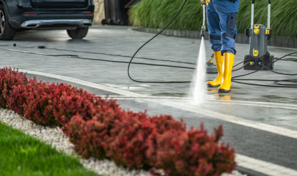 Best Best Pressure Washing Companies  in Westke, LA